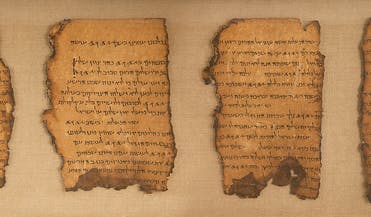 Shot of a few scroll fragments