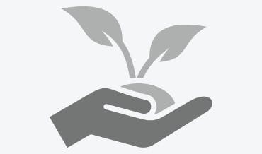 Stylized icon of hand holding a sprout.