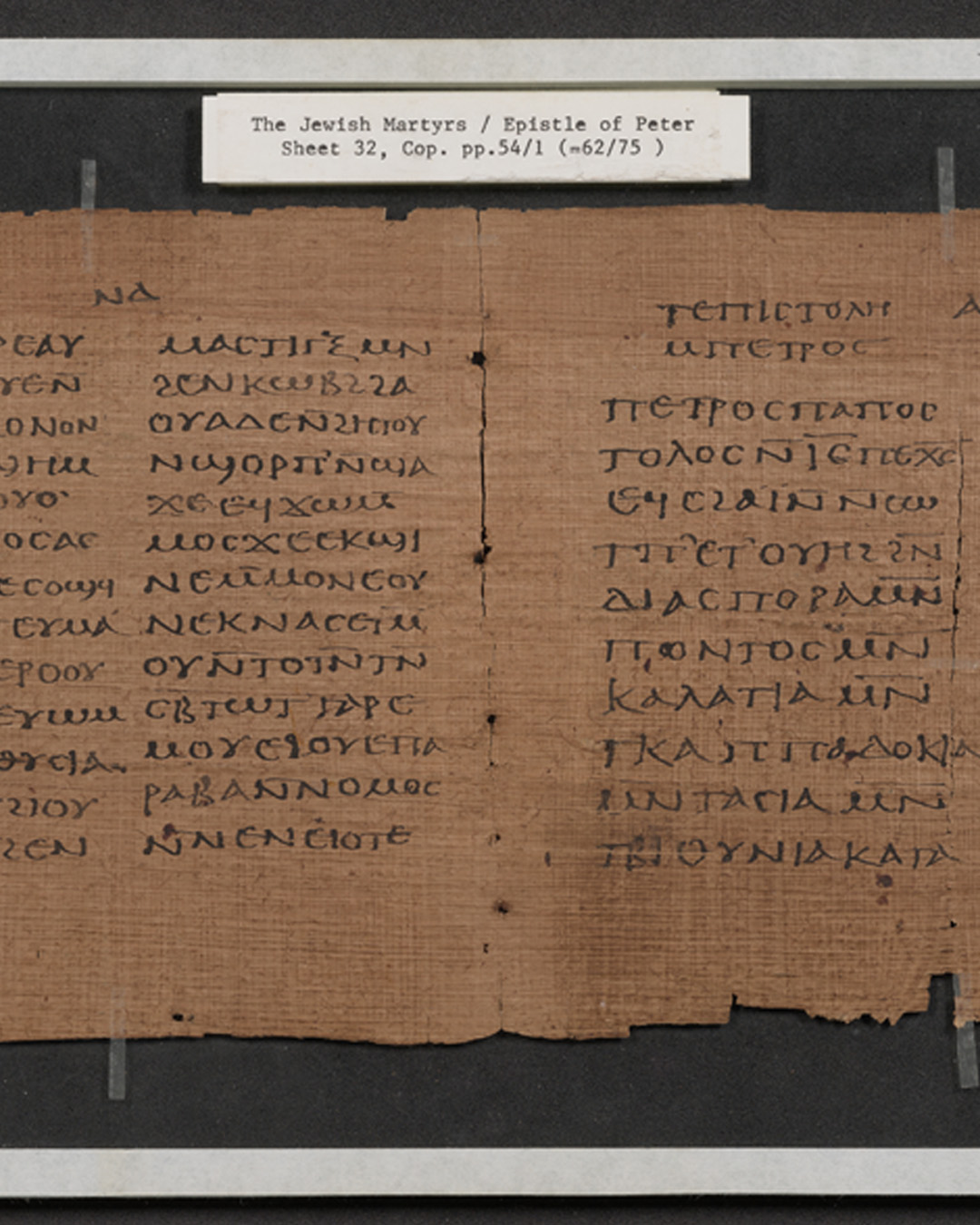 Main Image: The Crosby-Schøyen Codex, Vertical view