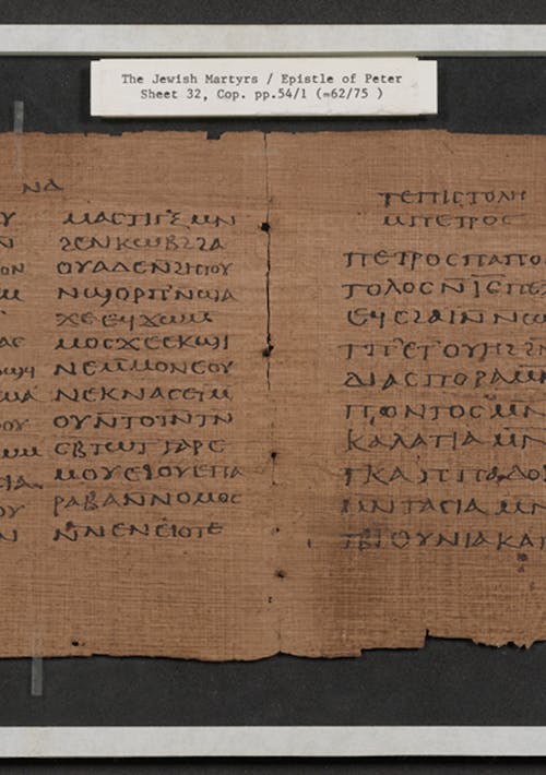 Main Image: The Crosby-Schøyen Codex, Vertical view