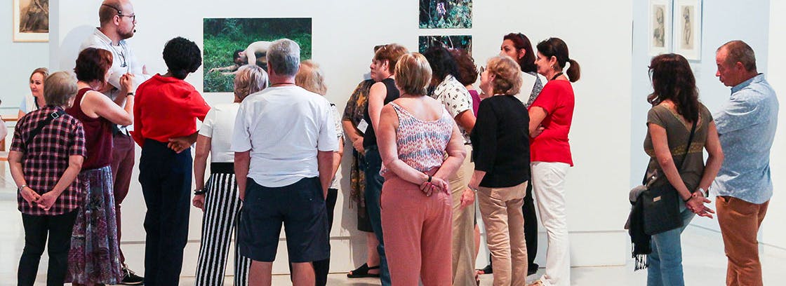 Várias pessoas com mais de 60 anos recebem mediação e admiram uma obra dentro de uma exposição do MON.