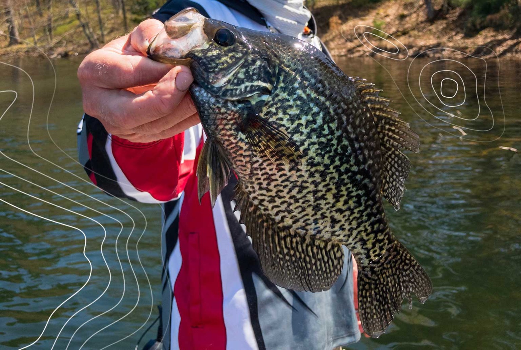 fishing float rubber bands