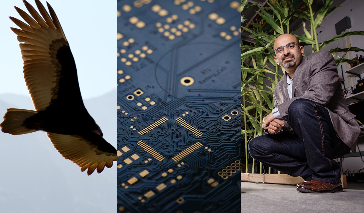 New drone design takes notes from nature–Apple goes solo on next-gen Macbook chips–Illinois CS professor Girish Chowdhary discusses the future of autonomous farming