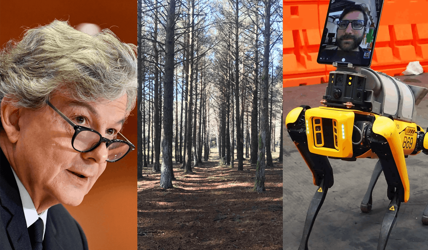 EU digital chief Thierry Breton explains new tech investment—German Tesla plant is suspended over forest clearing concerns—Hyundai buys Boston Dynamics for $1B