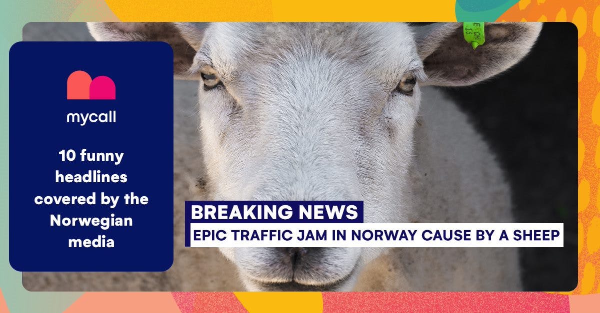 Funny news in Norway during the silly season | Mycall Funny news in Norway during the silly season | Mycall