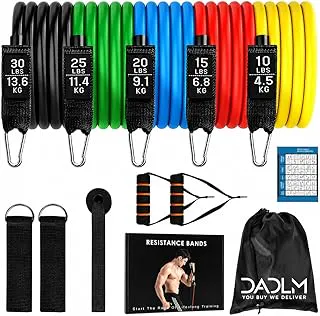 DADLM® Resistance Bands Set for Exercise, Stretching and Workout Toning Tube Kit with Foam Handles, Door Anchor, Ankle Strap and Carrying Bag Set of 11 in 1 for Men,Women