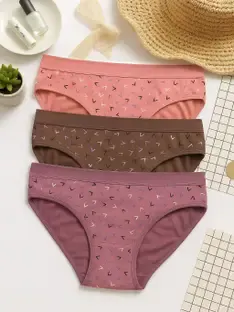 FiveFlag Women Hipster Multicolor Panty
