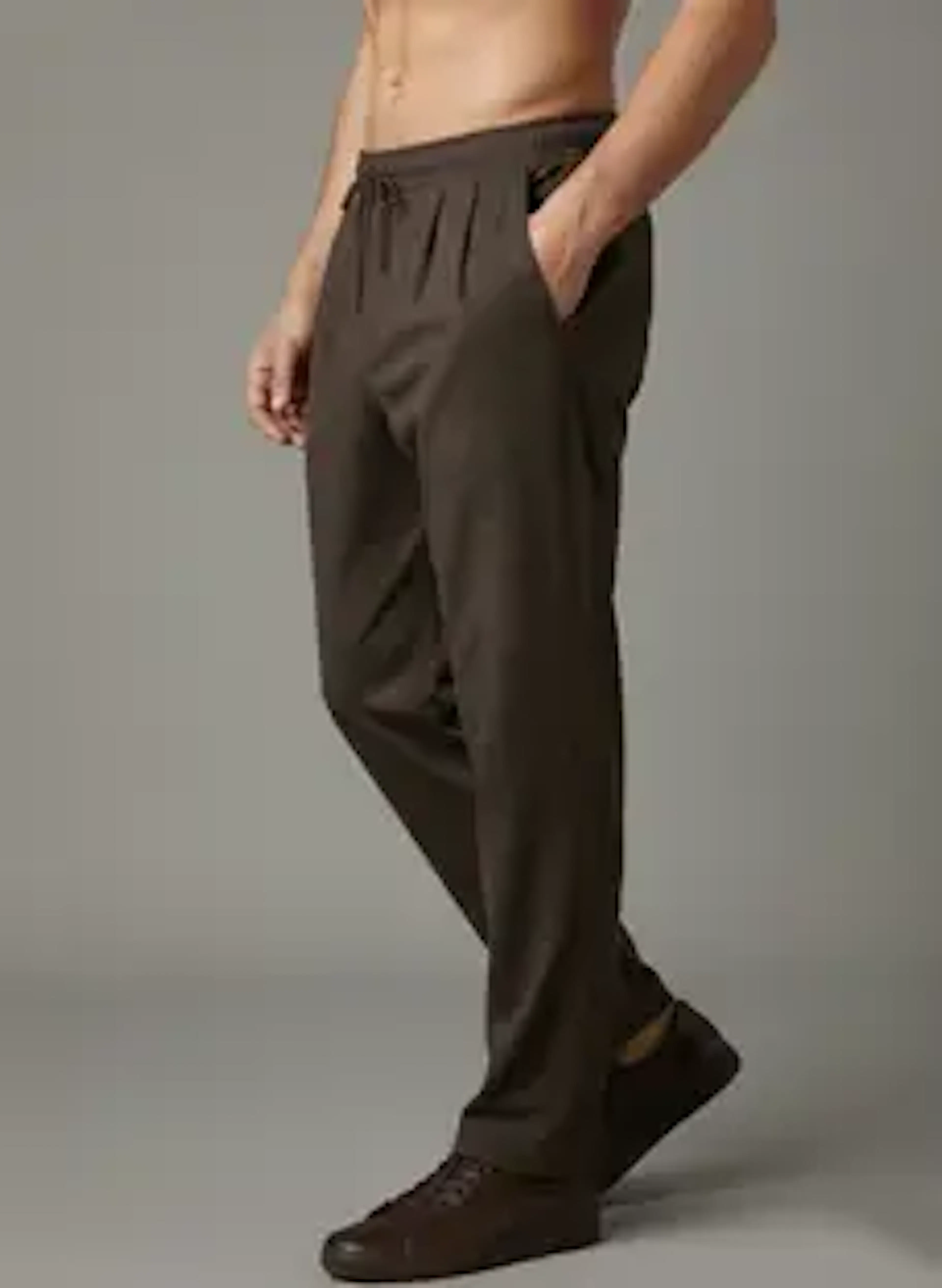 INDICLUB Regular Fit Men Brown Trousers