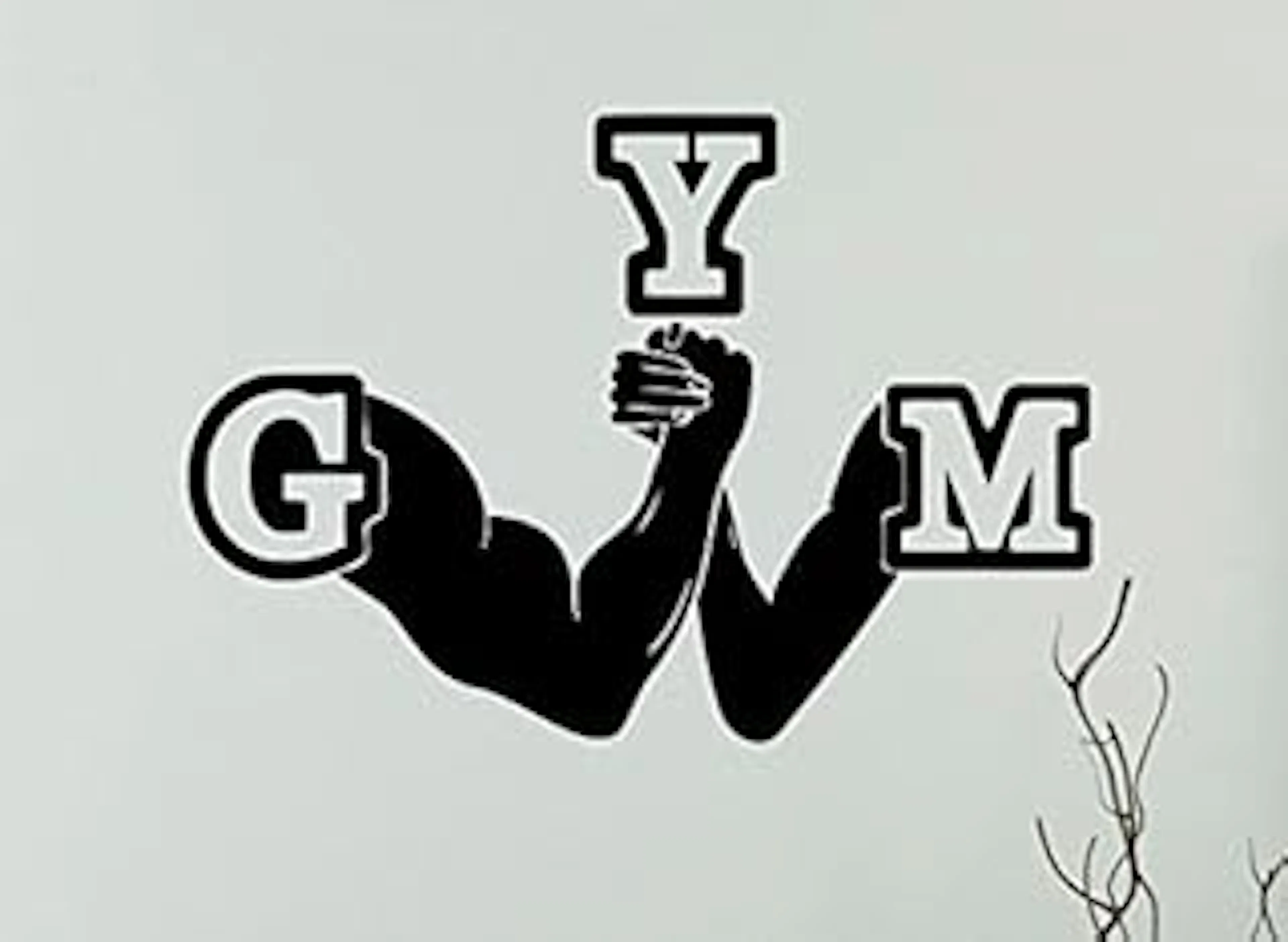 ARWY Gym Wall Sticker e Gym Wall Sticker Gym-E Logo Wall Sticker Vinyl Decal (Black) Standard Size