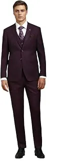 Louis PhilippeMen Purple Slim Fit Textured Formal Three Piece Suit