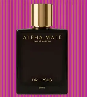 DR URSUS Alpha Male Eau de Parfum Long Lasting Perfume for Man Mens Perfumes z326 Eau de Parfum - 50 ml