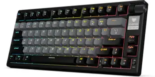EVOFOX Ronin TKL RGB Mechanical Wireless Tenkeyless Gaming Keyboard Compatible with Desktop, Laptop, Mac