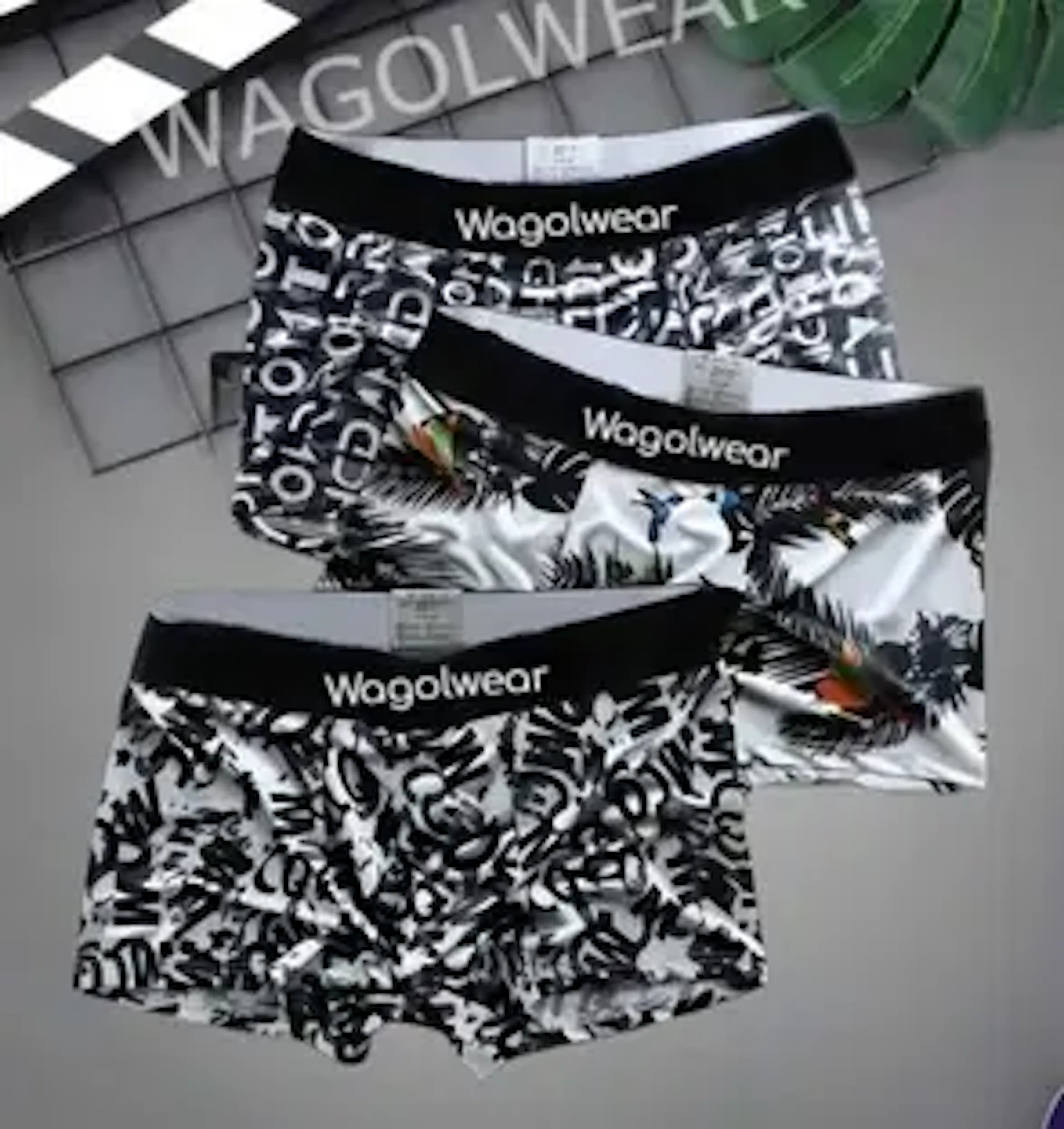 WAGOLWEAR Men Brief