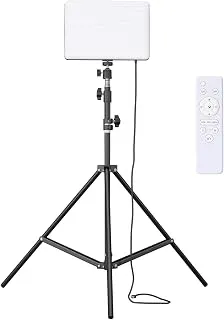 Amazon Basics Studio Light with Stand for Photography and Video Recording – Full Review, Features & Price