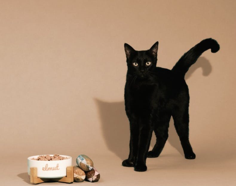 Chat noir Elmut