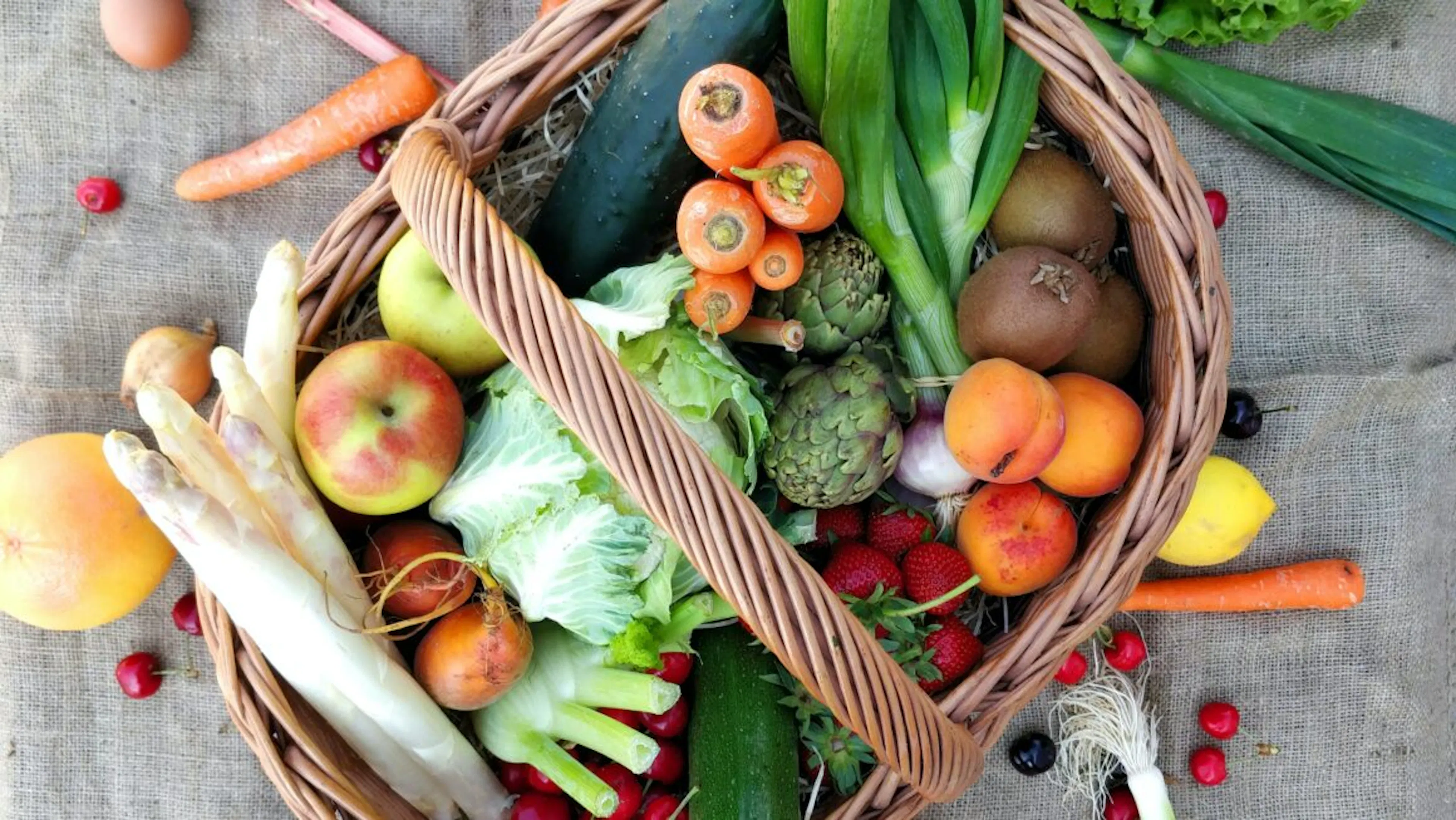Légumes pour les chiens