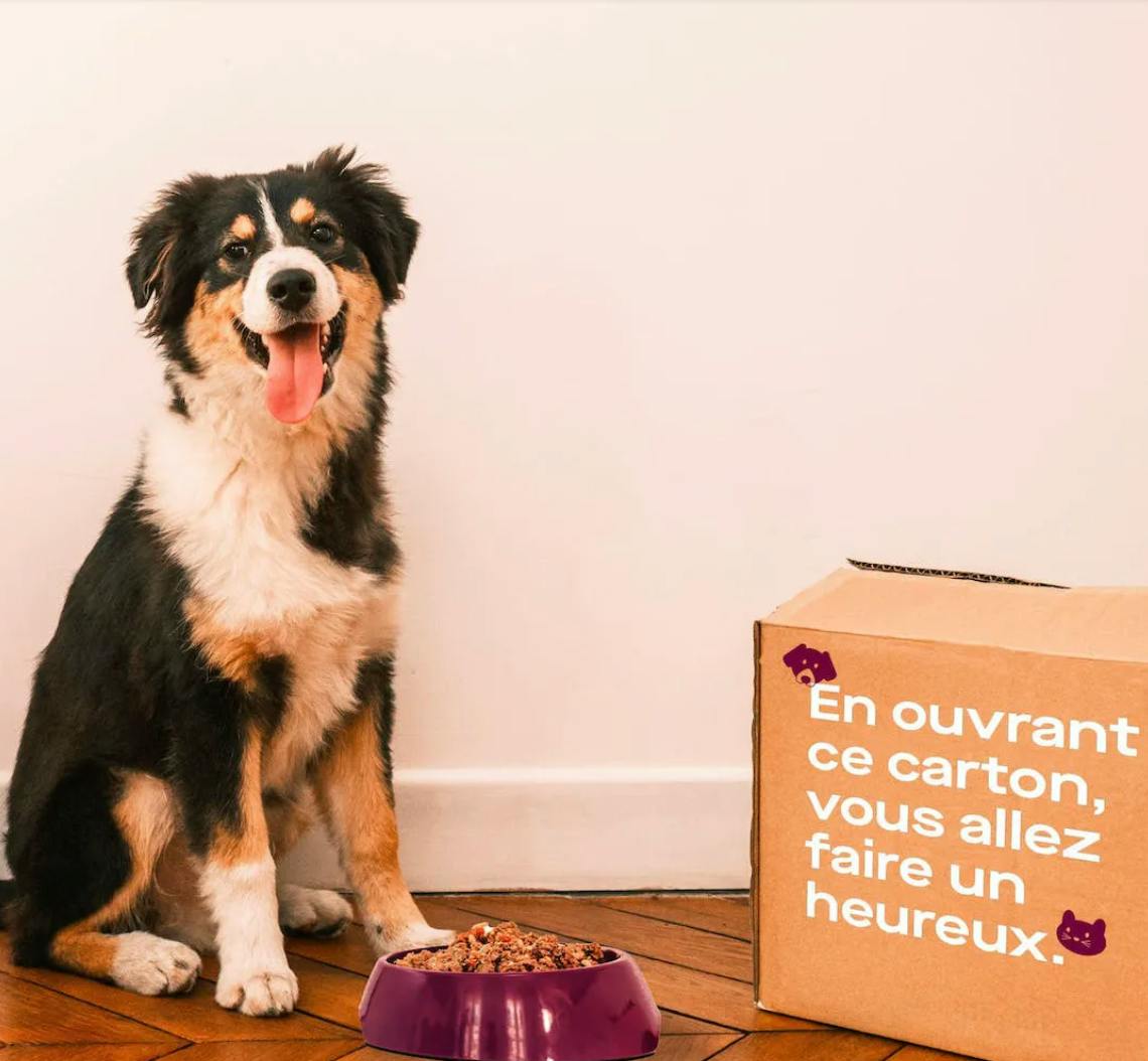 chien posant devant une gamelle Elmut pleine