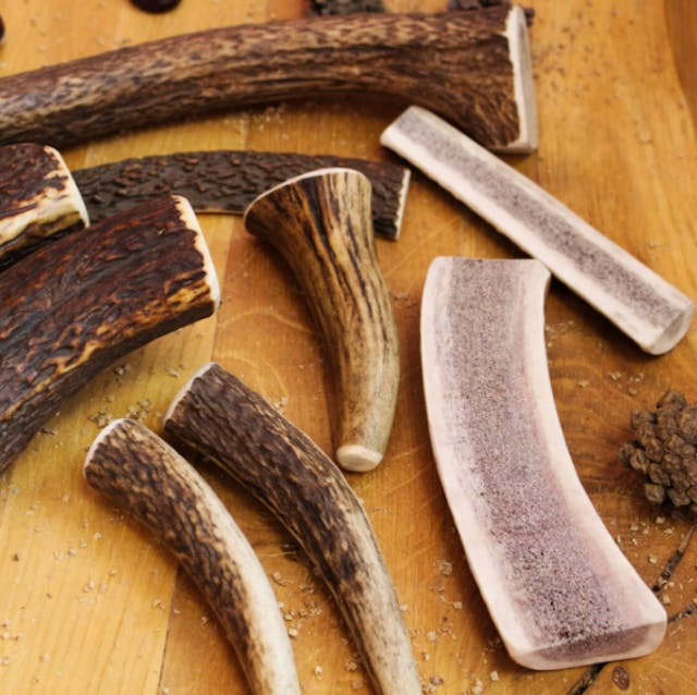  Différents bois de cerfs 