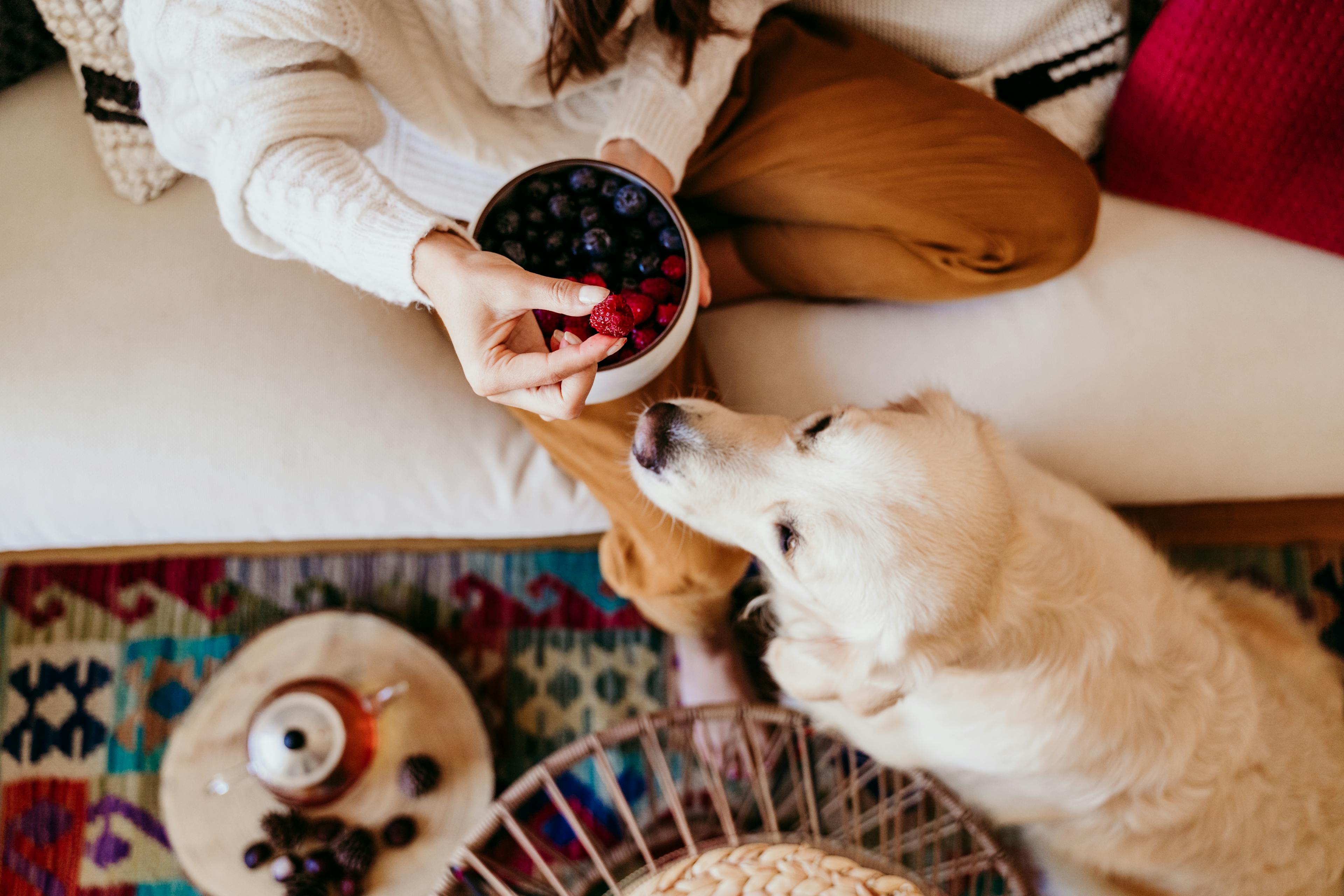 Dame qui donne un fruit à son chien