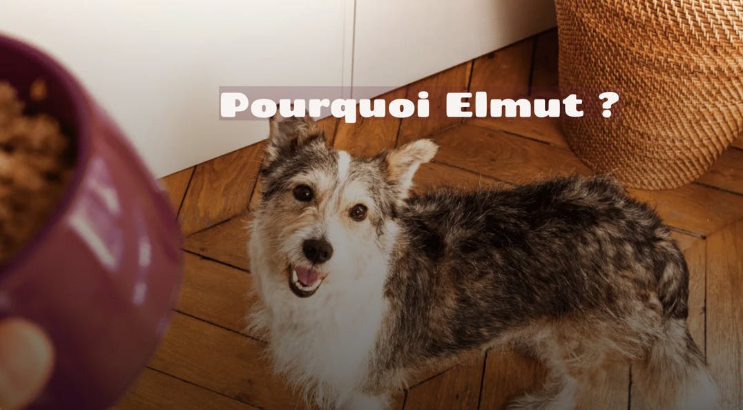 "Pourquoi Elmut"