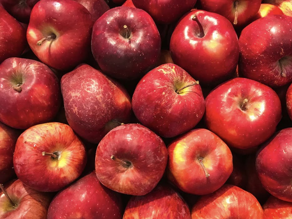photo en gros plan de pommes rouges