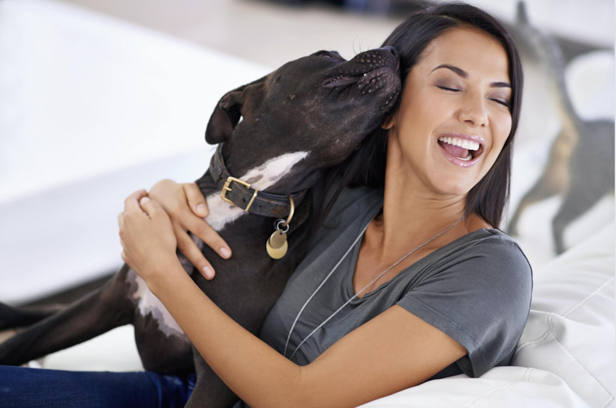 câlin entre un chien et sa maitresse