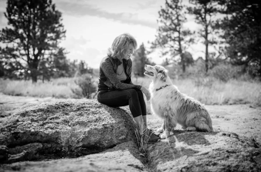 Chien qui regarde sa maitresse 