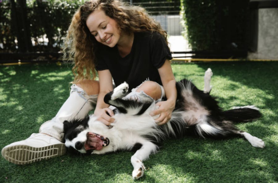 Une dame qui câline son Border Collie