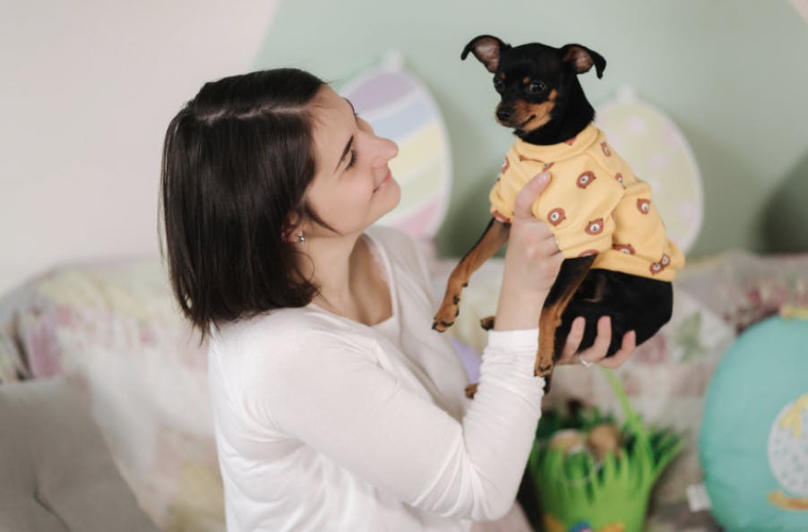 Femme qui tient un Chihuahua dans ses mains