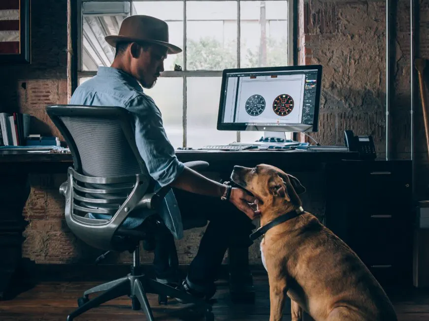 Chien au bureau