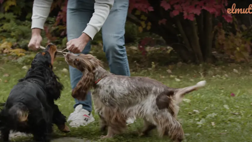 Témoignage client Elmut