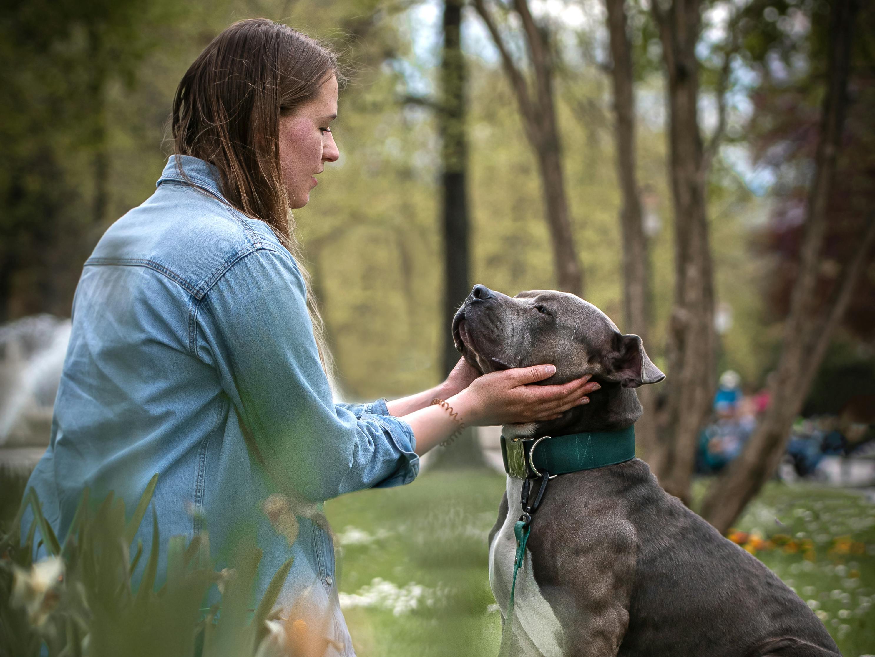 Julia et son chien Bull