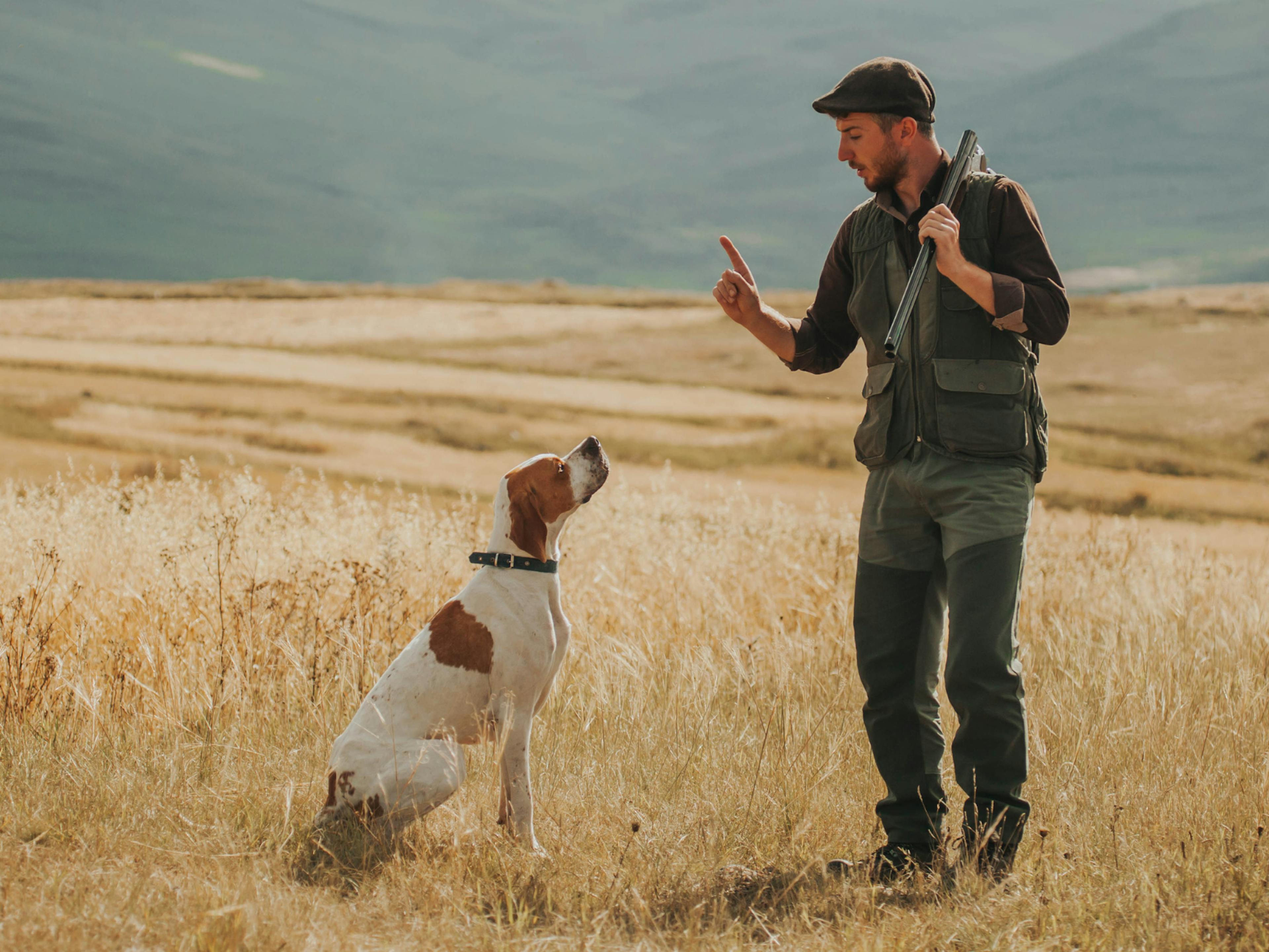 Chien de chasse avec son maître dans un champs