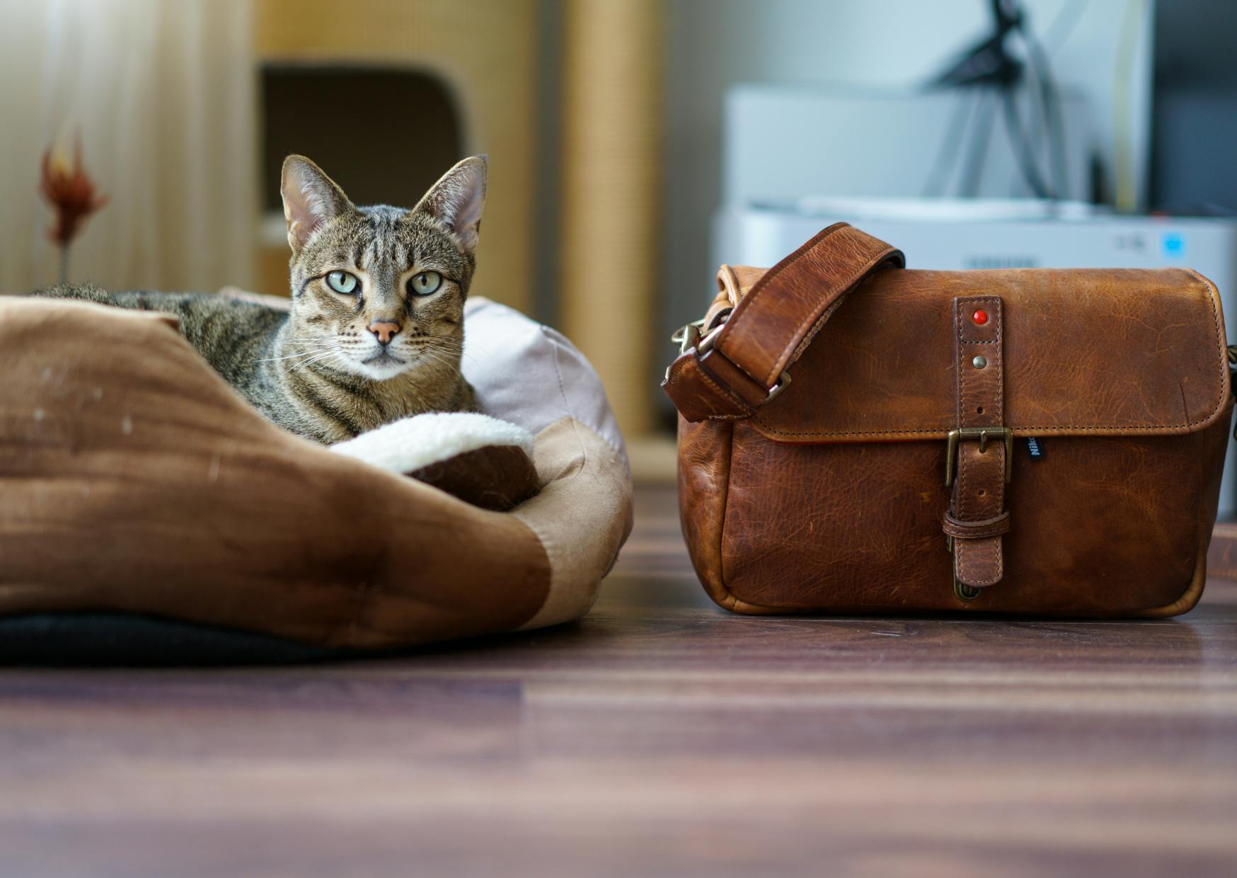 Savannah couché dans son couchage, à côté de lui il y a un sac marron