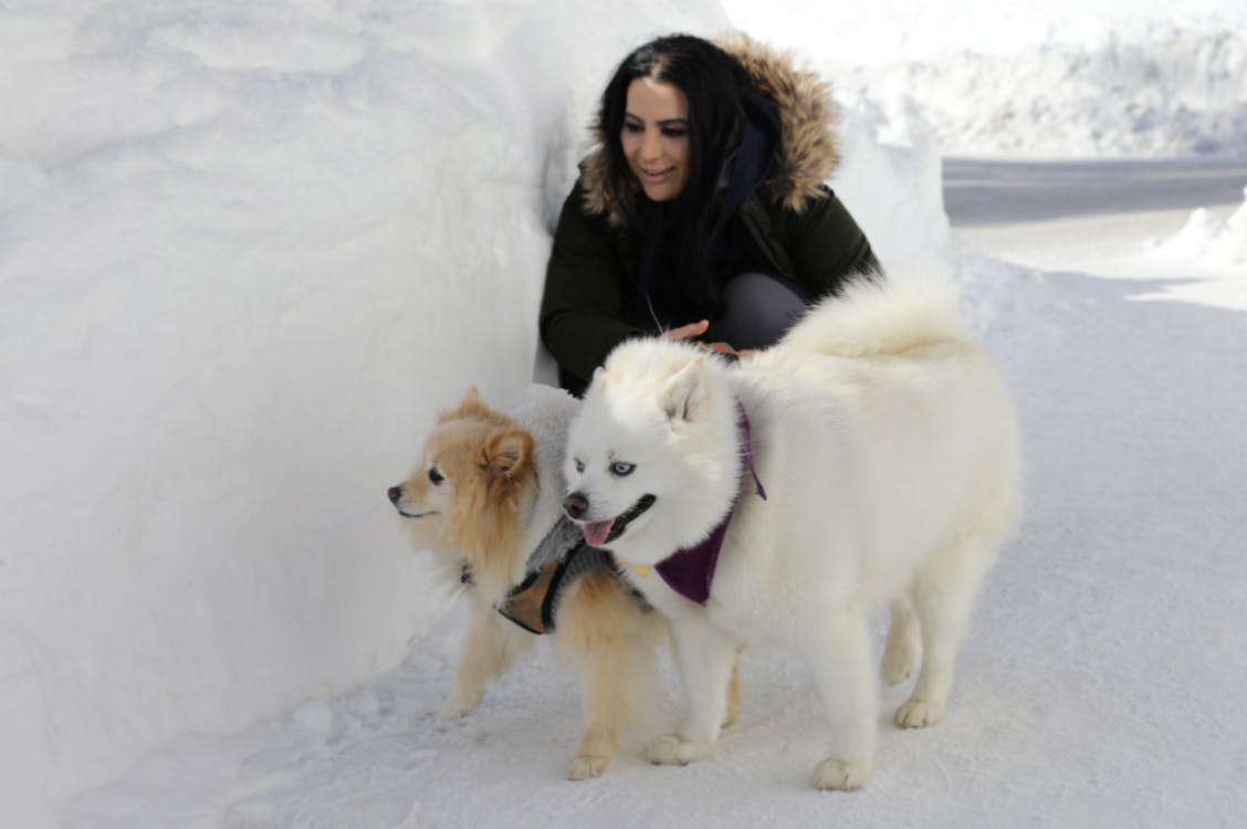 Dame qui se balade avec ses Pomsky