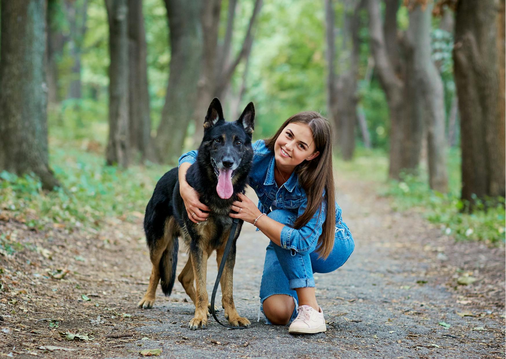 Berger Allemand avec sa maman dans la forêts