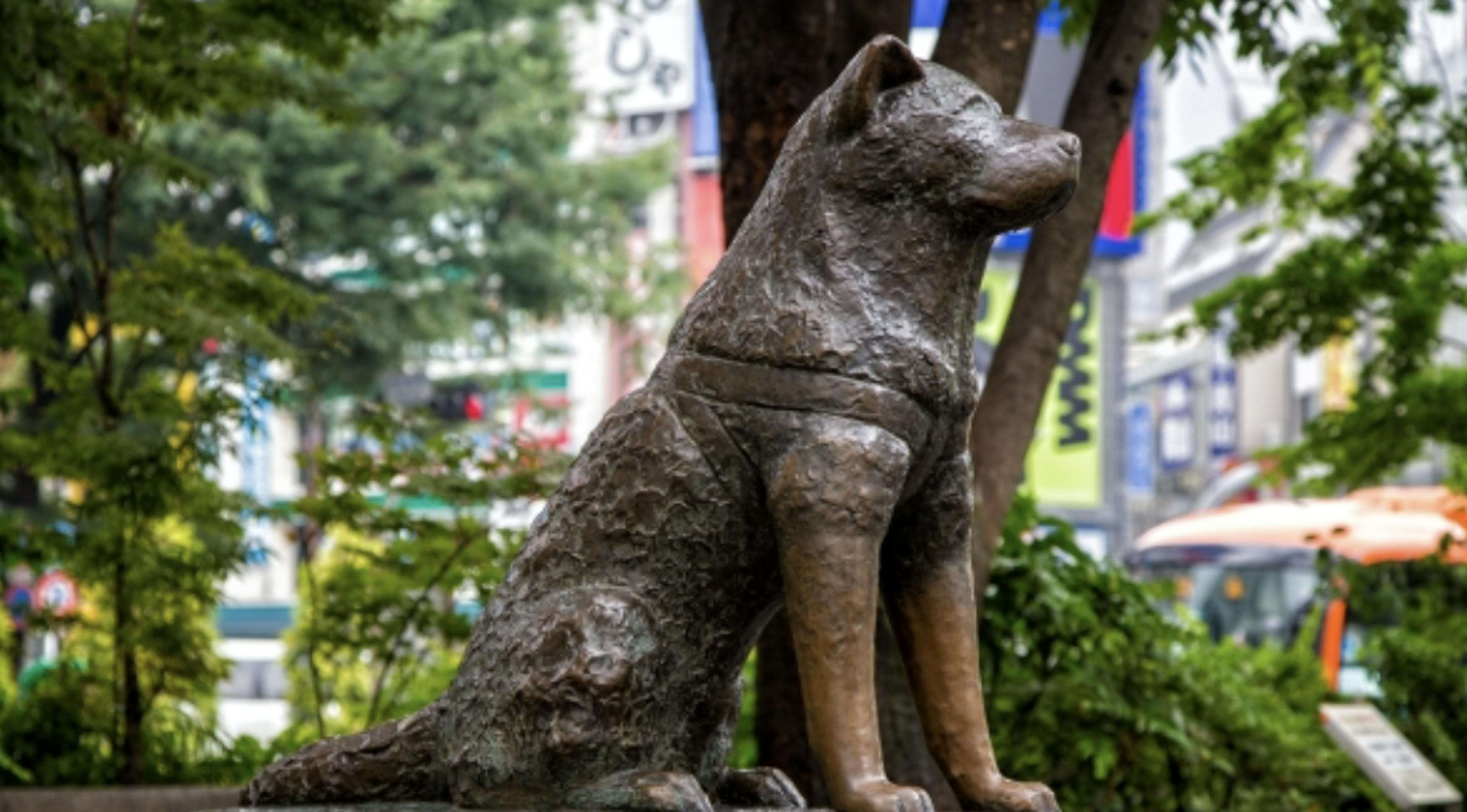 Statue du chien Hatchii