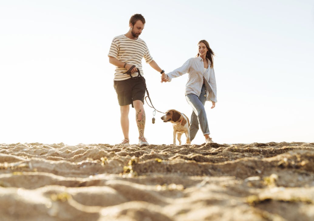 Couple qui se balade avec leur chien sur la plage