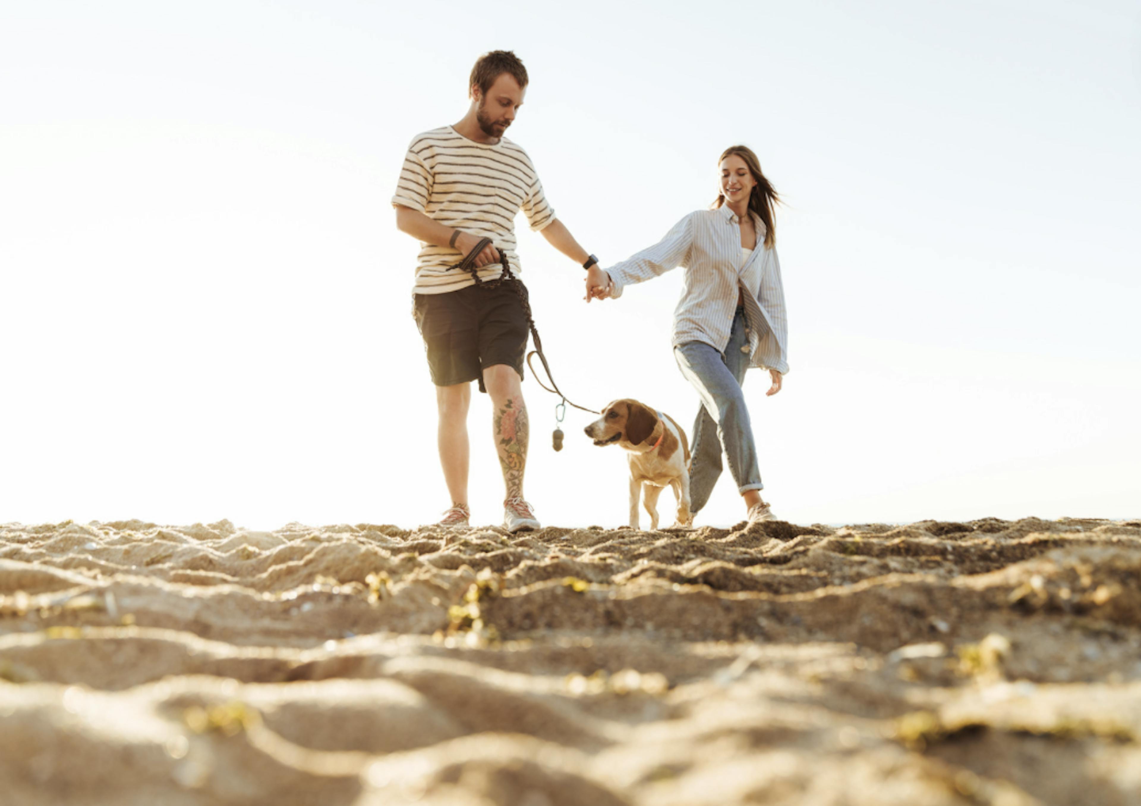 Couple qui se balade avec leur chien sur la plage 