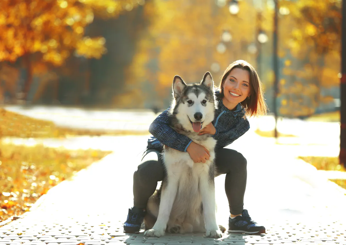 Husky heureux qui fait un câlin avec sa maitresse