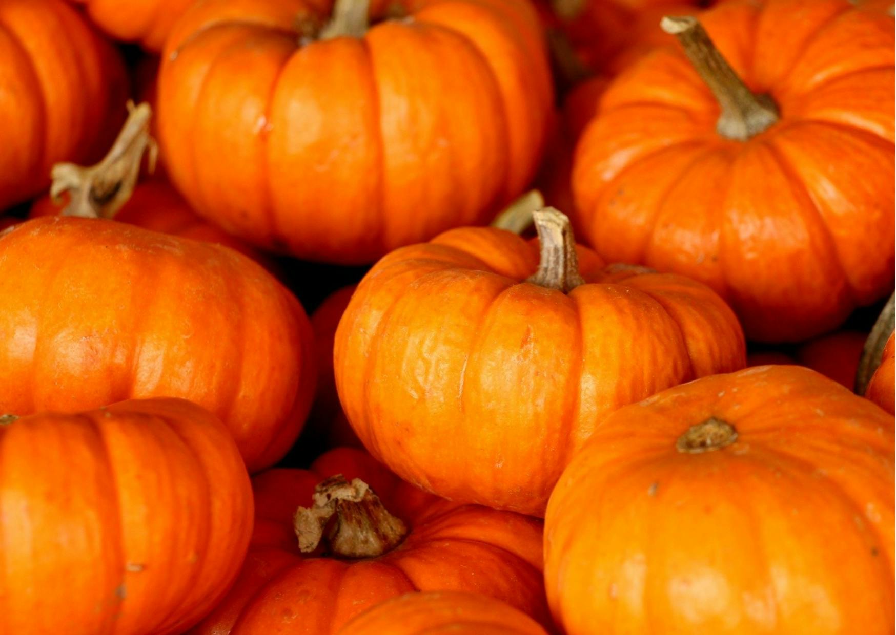 citrouilles entassées