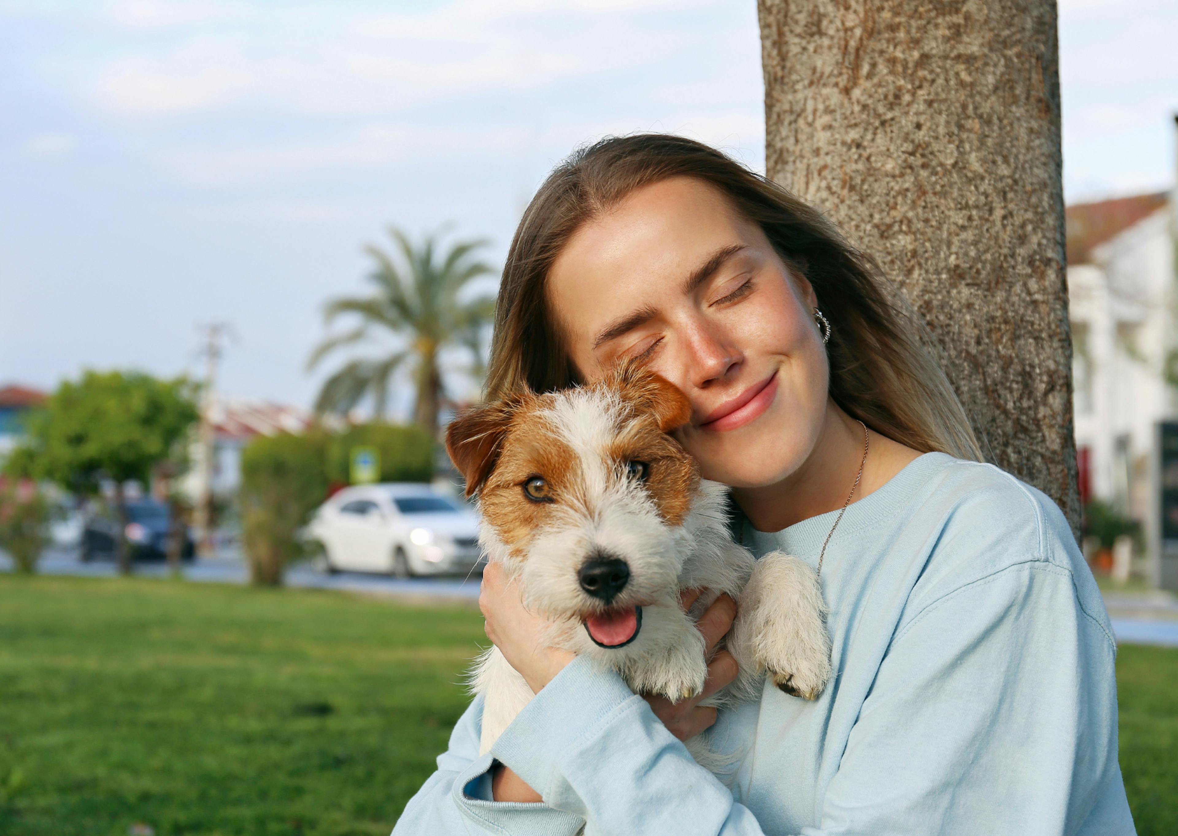 Parson Russell Terrier qui fait un câlin avec sa maitresse 