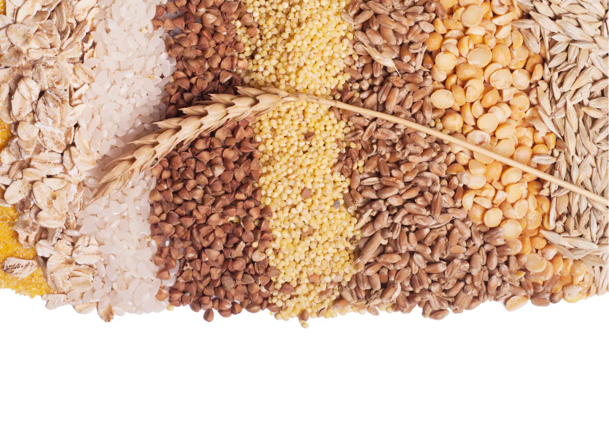 Céréales de plusieurs types sur une table blanche