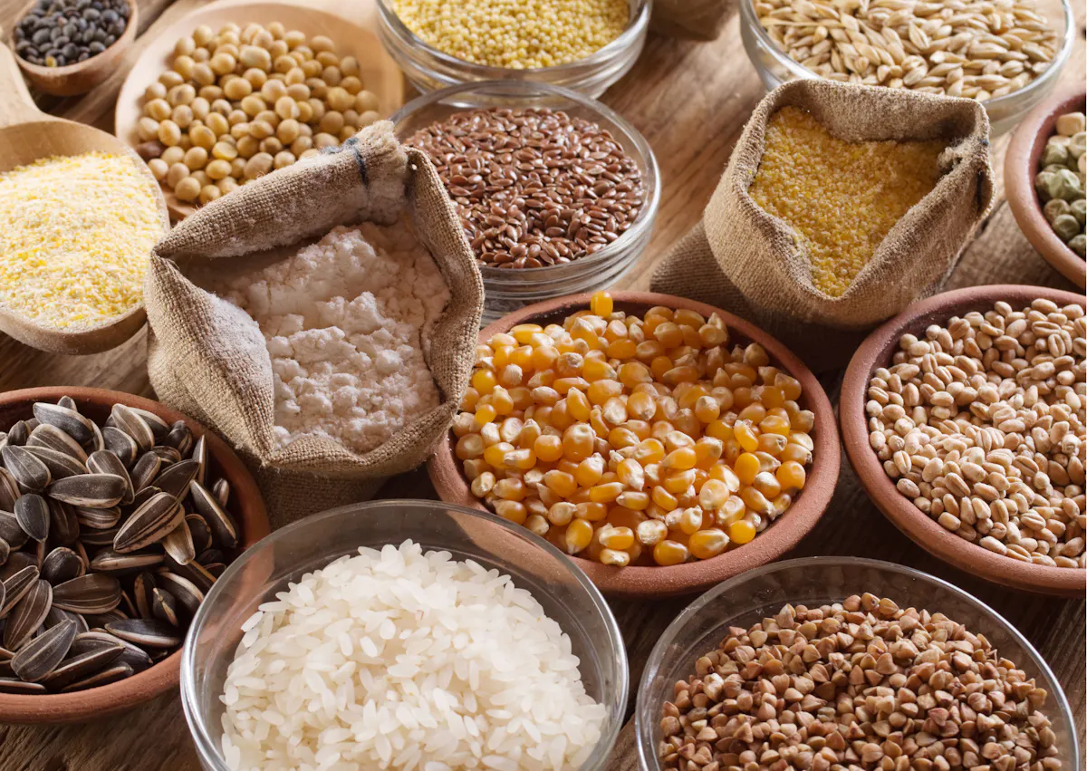 Céréales dans des pots et des sacs