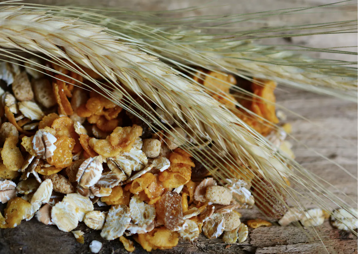 Céréales sur une table en bois