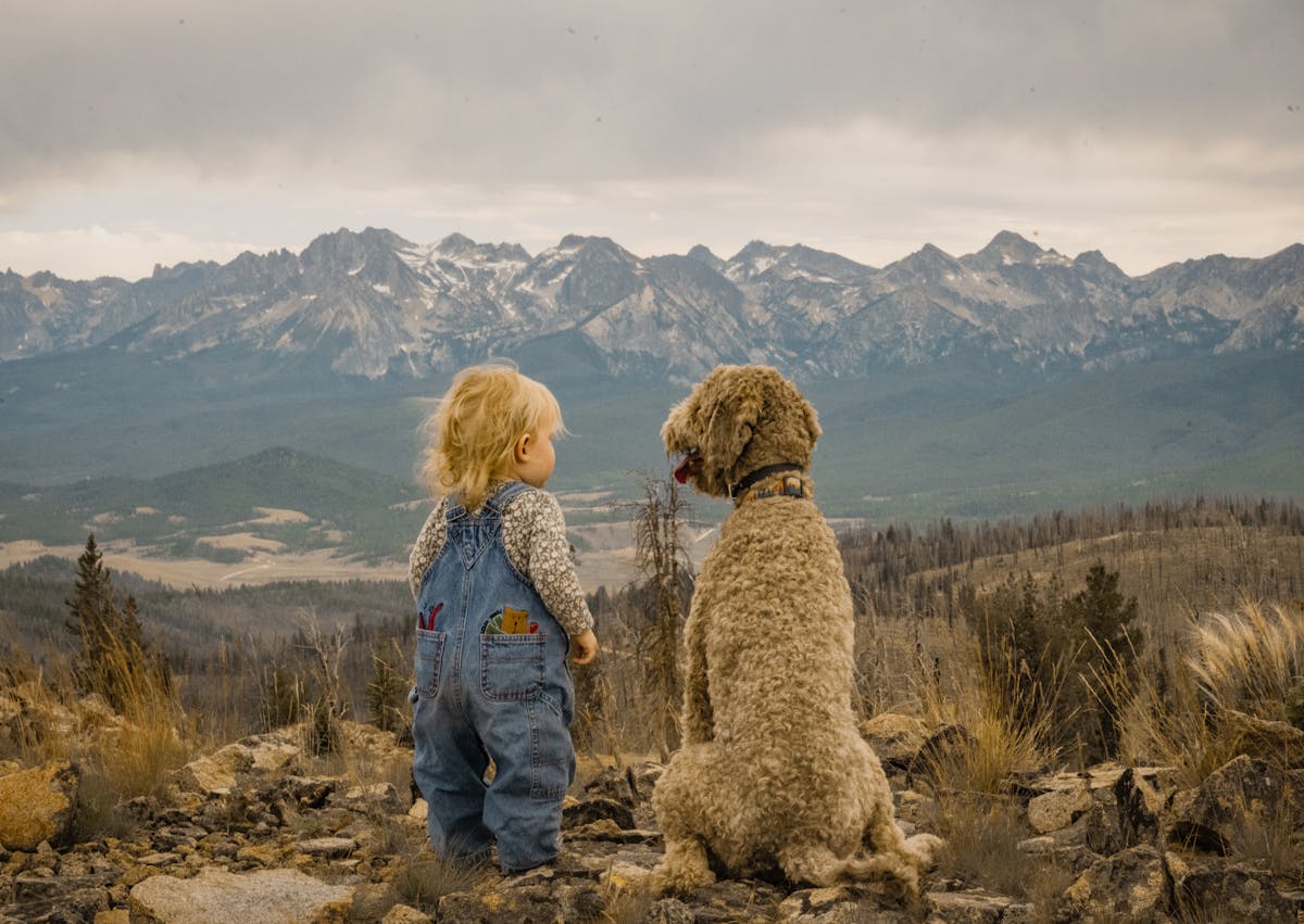 une petite fille à côté d'un labradoodle dehors face à une montagne