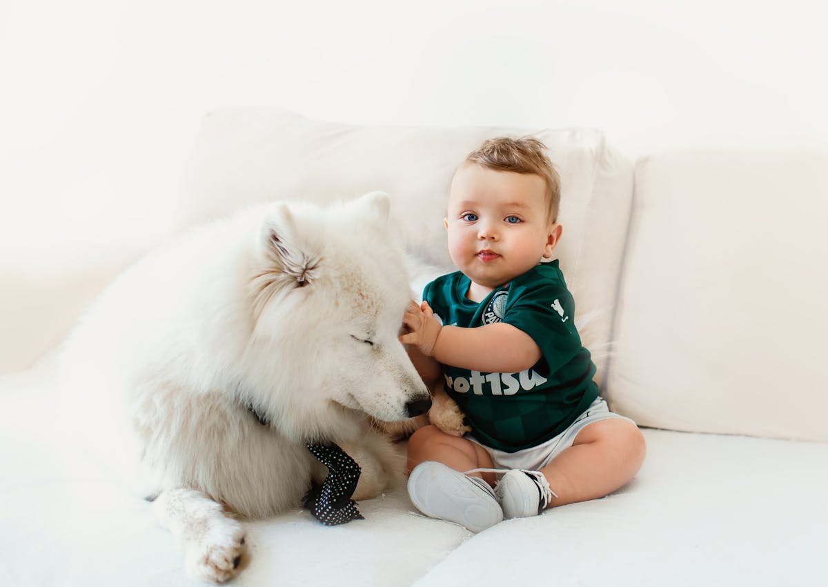 Bébé qui est à côté d'un berger blanc suisse