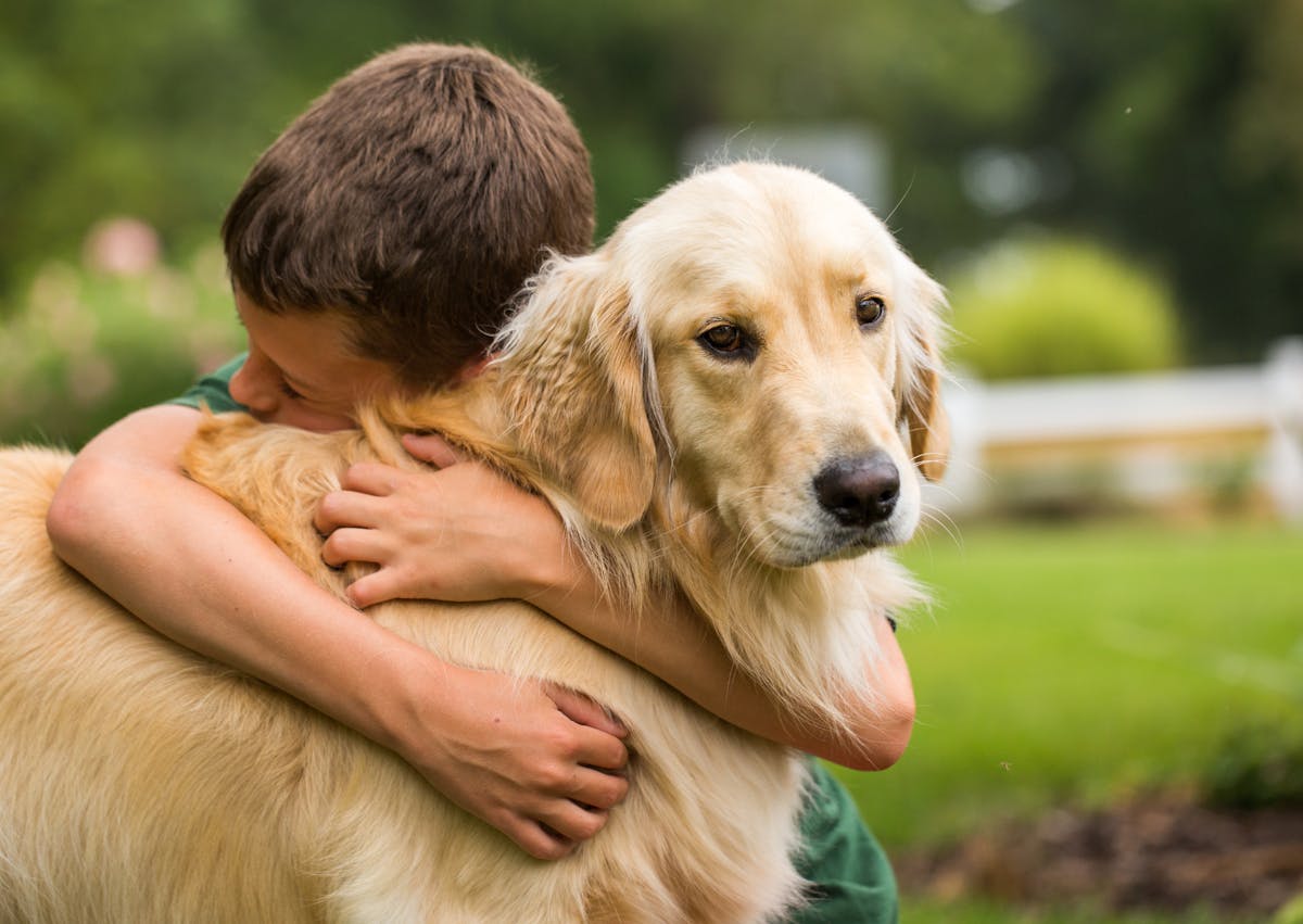 jeune garçon qui fait un câlin fort avec à un golden