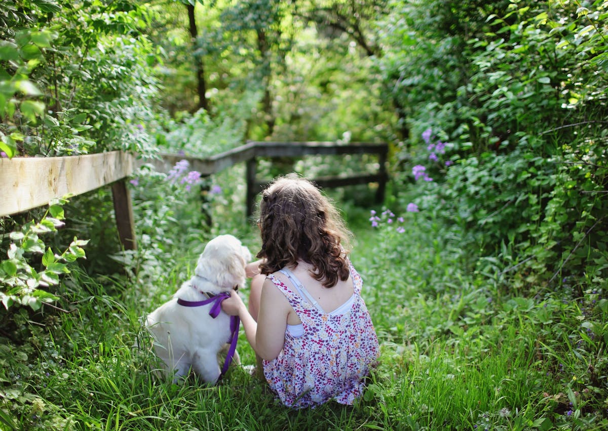 petite fille avec un petit chien blanc dehors dans l'herbe