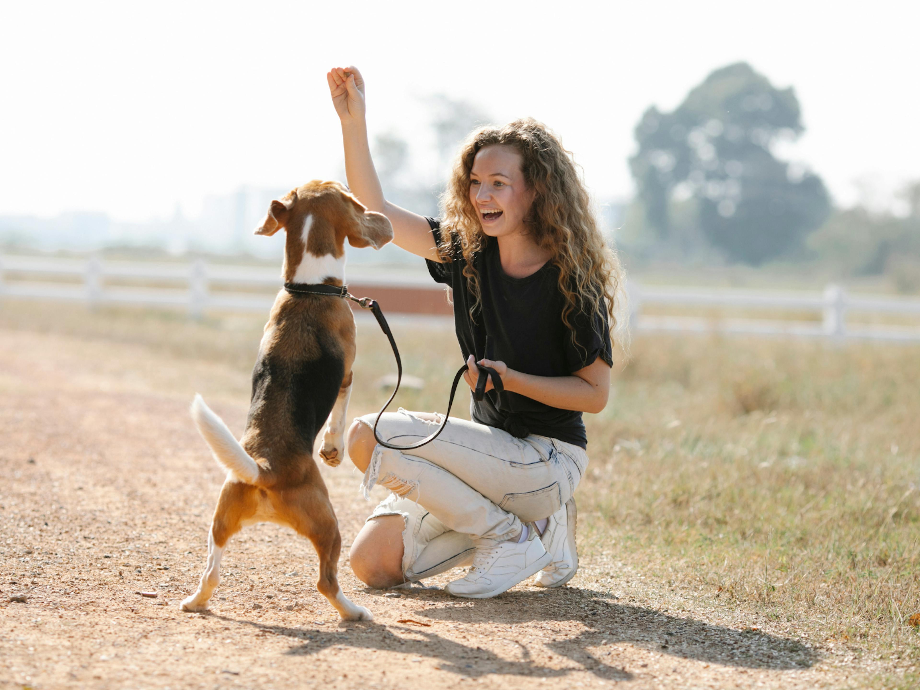 chien avec sa maitresse qui fait un cours d'éducation